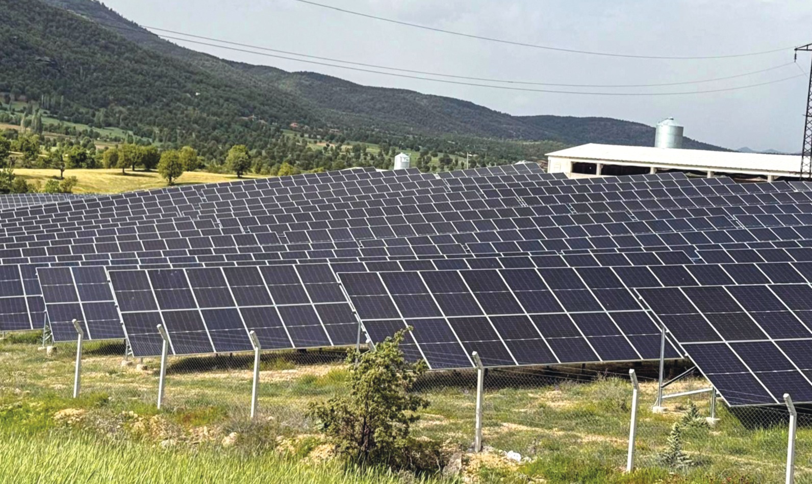 Selendi Güneş Enerjisi ve Çiftlik Tesisi — proje görünümü 1